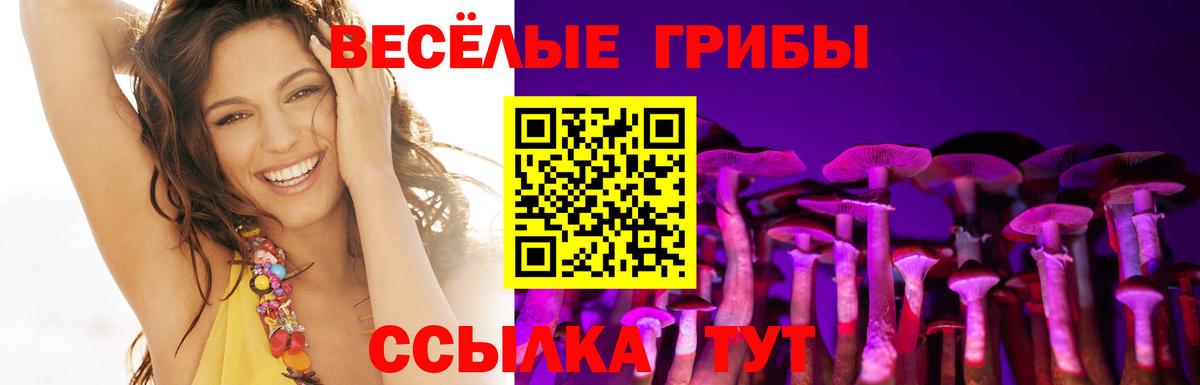 Кулебаки  Галлюциногенные грибы прущие грибы  Вход с VPN 
